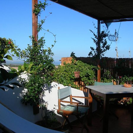 Piazza San Pantaleo Bed & Breakfast ซอร์โซ ภายนอก รูปภาพ